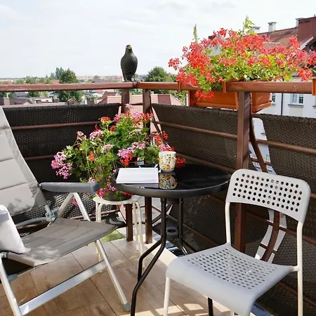 Przytulna Przestrzen W Ilawie 아파트