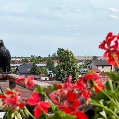 Przytulna Przestrzen W Ilawie Διαμέρισμα *