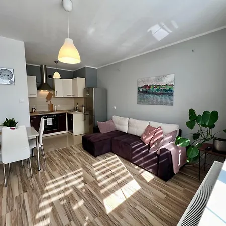 아파트 Przytulna Przestrzen W Ilawie