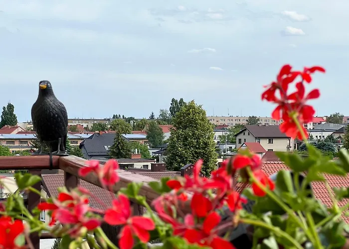 Przytulna Przestrzen W Ilawie Apartmán *